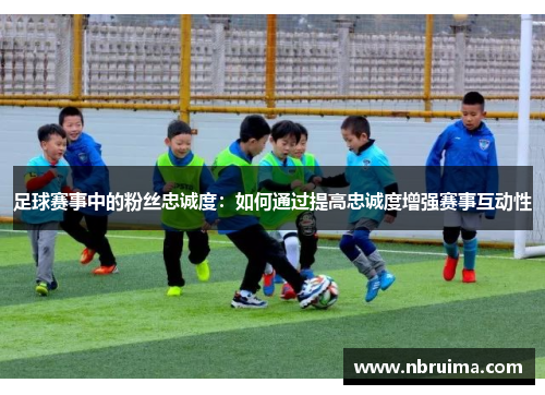足球赛事中的粉丝忠诚度：如何通过提高忠诚度增强赛事互动性