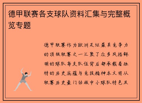 德甲联赛各支球队资料汇集与完整概览专题