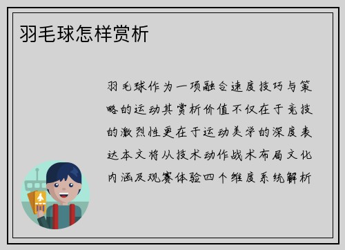 羽毛球怎样赏析